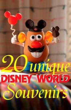 20 unique Disney World souvenir ideas from @Shannon, WDW Prep School