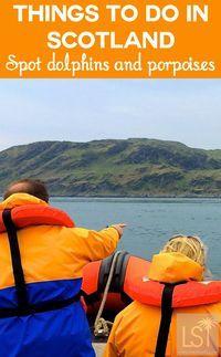Spotting porpoises in the Firth of Lorn, western Scotland