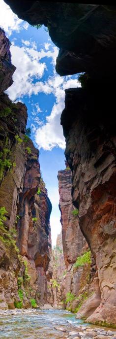 Zion National Park Narrows, Utah. Such a cool sight!