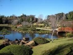 Toowoomba's Japanese gardens