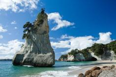 New Zealand. On my bucket list of places I need to get my employer to pay for me to go. ;)