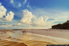 Go sea shelling on the beaches of Sanibel Island, Florida