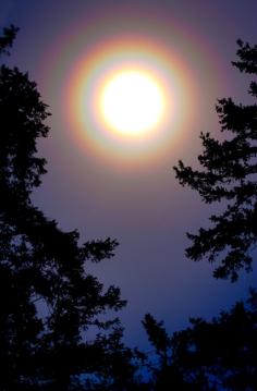 Ring around the Moon ~ The rings are caused by moonlight refracting off of ice crystals high in the atmosphere. Folklore says that a ring around the moon means that there's a storm coming.