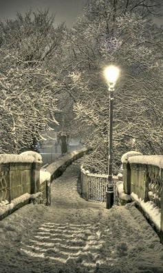 Snowy Night ~ Chester, England