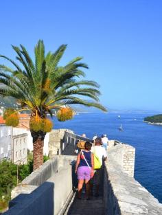 
                    
                        Beginners Guide to #Dubrovnik in #Croatia  >>> www.anekdotique.c...
                    
                