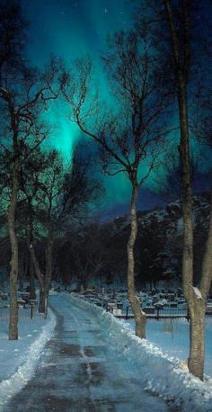 
                        
                            Aurora Borealis over a graveyard in Kabelvaag ~ Nordland Fylke, Norway
                        
                    
