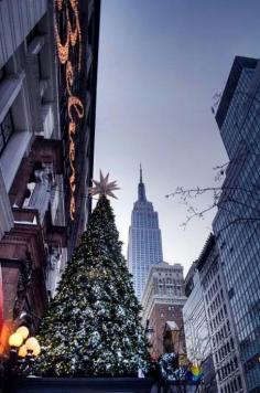 
                    
                        Christmas NY City
                    
                