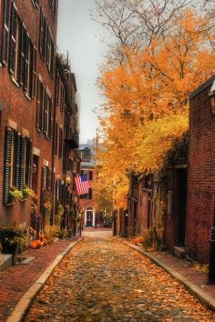 
                    
                        boston in the fall.
                    
                