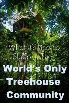
                    
                        What It’s Like To Sleep In The World’s Only Tree house Community >> Finca Bellavista is the world’s first planned, modern, sustainable tree house community and it's in Costa Rica. This place looks amazing! #PinUpLive
                    
                