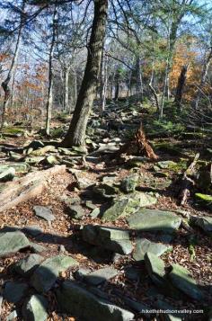 
                    
                        Hike to Giant Ledge and Panther Mountain | Hike the Hudson Valley Catskills
                    
                