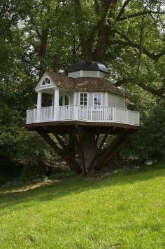 
                    
                        Home Styles: Tree houses style & design
                    
                