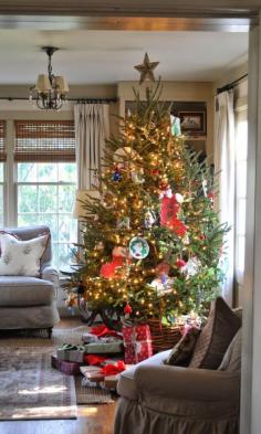 
                    
                        Beautiful Christmas Tree
                    
                