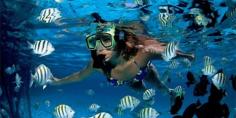 
                    
                        I love snorkeling!
                    
                