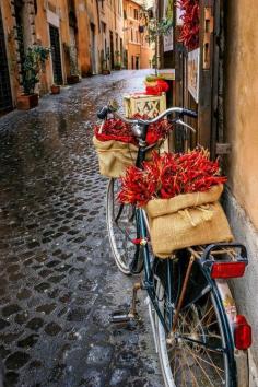 
                    
                        Peppers, Rome, Italy
                    
                