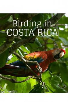 
                    
                        Discovering the joys of birding in Costa Rica www.casualtraveli...
                    
                