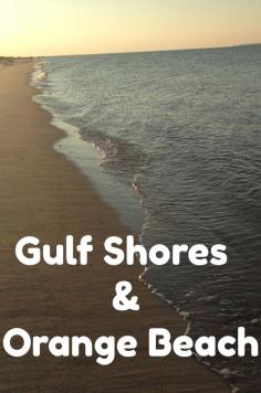 
                    
                        Top Attractions in Gulf Shores & Orange Beach away from the Beach
                    
                