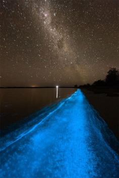 Australia's Amazing Bioluminescent Lake. "An unusually high concentration of Noctiluca scintillans, a bioluminescent microorganism, turned the water a bright, glowing, ethereal blue." Bucket list.