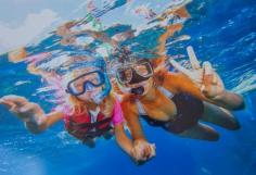 
                    
                        Snorkeling the Great Barrier Reef - Things to do in Cairns, Australia
                    
                