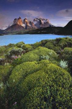 
                    
                        Cuernos del Paine at dawn from Lago Pehoe, Patagonia, Chile by Galen Rowell.
                    
                