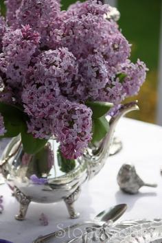 
                    
                        Lilacs and Silver
                    
                