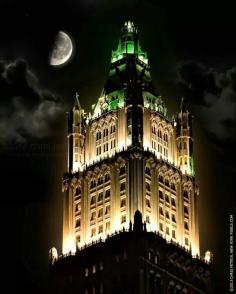 
                    
                        The Woolworth Building By Chris Petsos
                    
                
