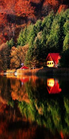 
                    
                        Beautiful Autumn Colors in Mehedinti Mountains, Romania    |   Discover Amazing Romania through 44 Spectacular Photos
                    
                