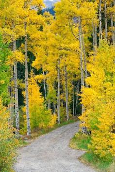 
                    
                        Colorado Autumn
                    
                