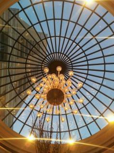 
                    
                        Lamp #mall #cristal #window #las vegas
                    
                