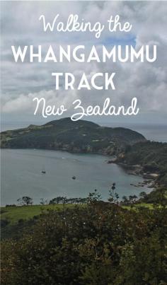 
                    
                        The Whangamumu Track is one of New Zealand's many short hikes that is well worth doing. This one is in Northland and looks over a lovely harbour and ends at a historic whaling station.
                    
                