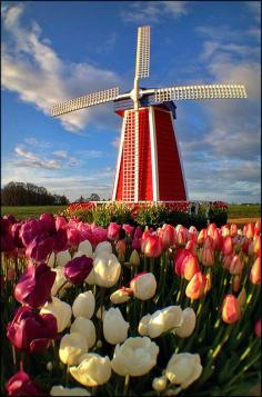 
                    
                        Holland
                    
                