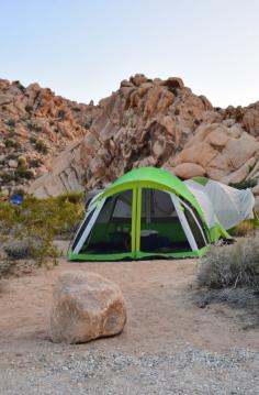 
                    
                        Joshua Tree National Park. First aid tips for camping emergencies.
                    
                