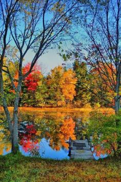 
                    
                        Autumn lake - Adirondacks, New York
                    
                