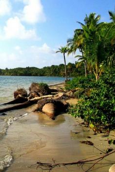 
                    
                        A Guide to the Beaches of Bocas del Toro, Panama
                    
                