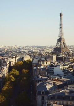 
                    
                        Where to Get the Best Views of the Eiffel Tower
                    
                