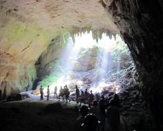 
                    
                        Rio Camuy Cave Park, Puerto Rico
                    
                