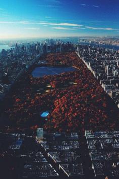 New York City // Central Park //