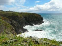 
                    
                        5 Sonoma County Activities for the Non-wine Lover including the scenic drive along Highway One (this photo).
                    
                