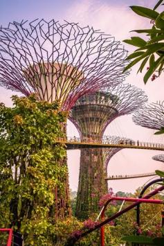 
                    
                        The "Hanging bridge" at Gardens by the Bay, in Singapore (Photo by: Jirka Matousek) | Visit our Singapore Photo Guide
                    
                