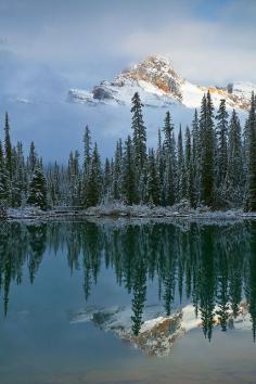 
                    
                        ☀Cathedral Mountain, Yoho National Park, British Columbia, Canada
                    
                