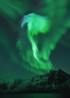 
                    
                        I wish I was in Norway. Aurora borealis on Sunday.
                    
                