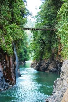 
                    
                        Barbilla National Park, Costa Rica. I would if we could kayak through here??
                    
                
