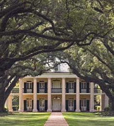 
                    
                        LOVE the plantation style front of the house. And I love the long drive with the trees forming a canopy over it.
                    
                