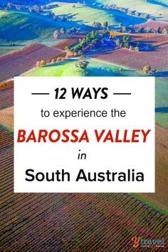 
                    
                        Travel bucket list experience - visiting the Barossa Valley Wine Region in South Australia
                    
                