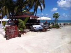 
                    
                        The Tiki Bikini Hut (Nassau, Bahamas): live music, amazing drink deals, Top-Rated Attraction Reviews - TripAdvisor
                    
                