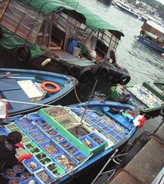 
                    
                        Selling fresh seafood from the boats at Sai Kung fishermen port, in Hong Kong
                    
                