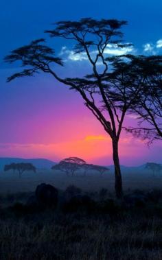 
                    
                        African sunset
                    
                