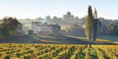 
                    
                        Bordeaux, Vineyards & Châteaux Overview | Uniworld® Boutique River Cruises
                    
                
