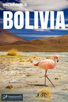 
                    
                        Bolivian Salt Flats – rough and stunning scenery | The Planet D Adventure Travel Blog | Bolivia’s rough landscape requires a SUV and brings you to altitudes of 4,000 meters and higher. It is the thin air, hot days and damn cold nights that makes life hard in the Andean Plateau.
                    
                