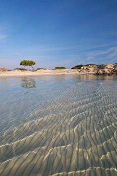 
                    
                        Fine white sand and shallow translucent waters in Halkidiki, Greece
                    
                