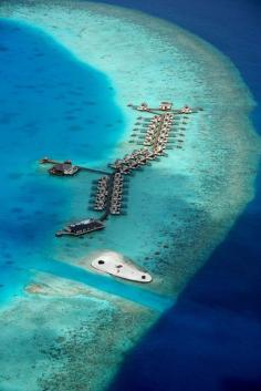 
                    
                        Villas in the Maldives
                    
                